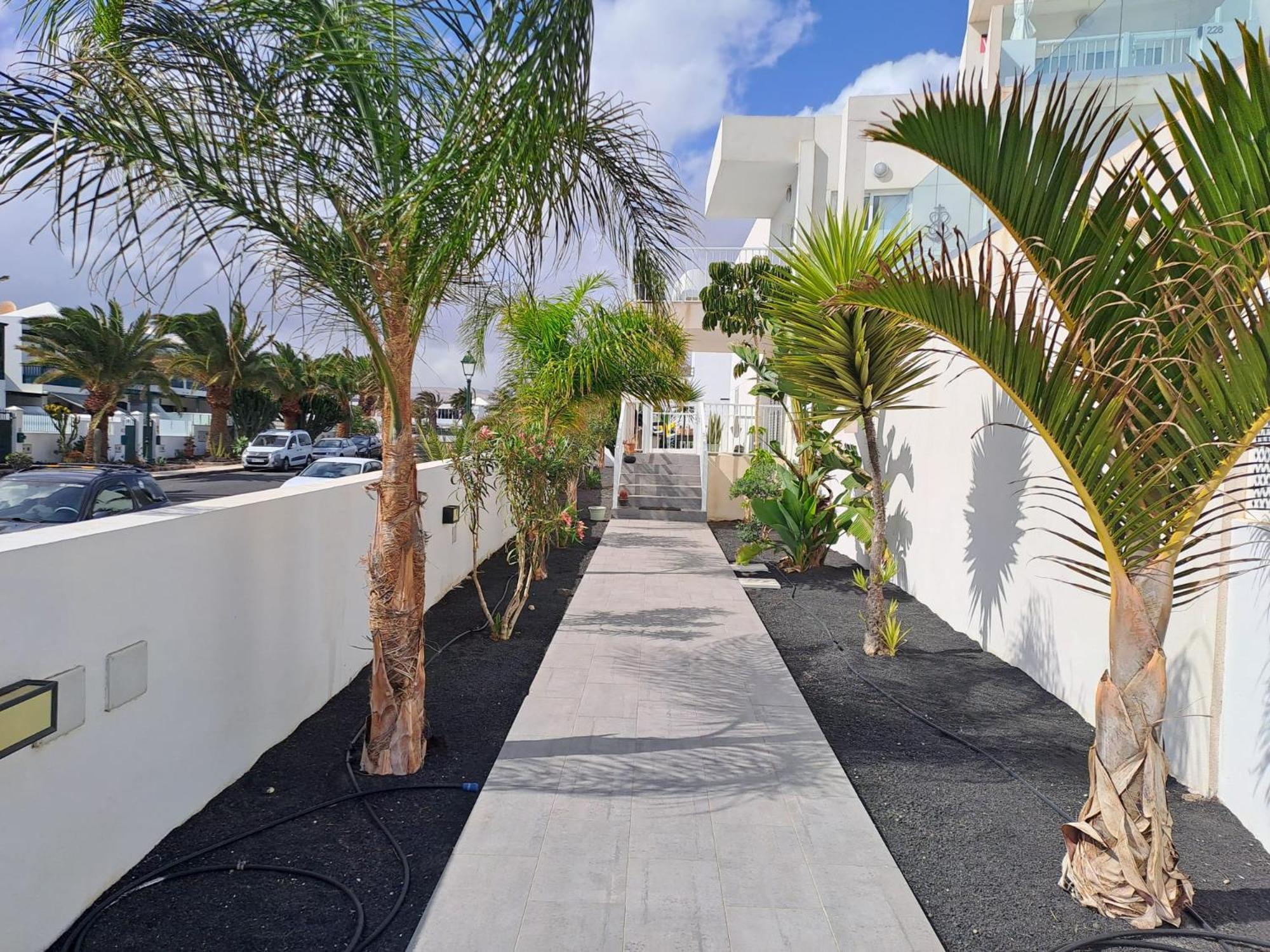 Luxury Sea View Senator Lanzarote Leilighet Costa Teguise Eksteriør bilde